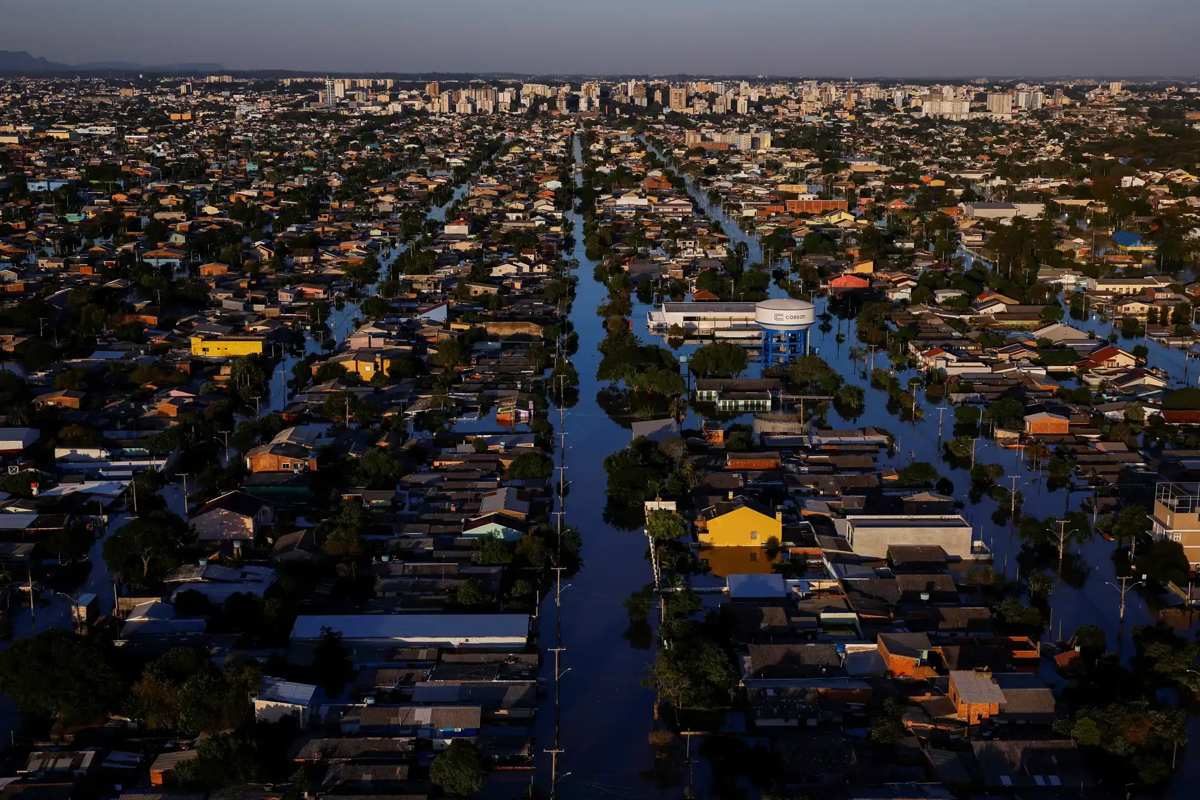 Amanda M. Perobelli, Reuters. Reprodução: National Geographic Portugal