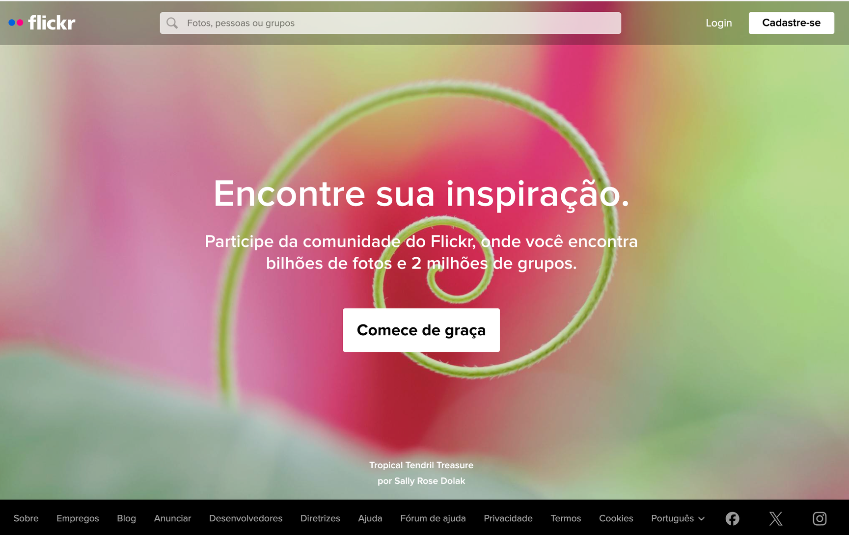 A História do Flickr e Seu Impacto na Fotografia