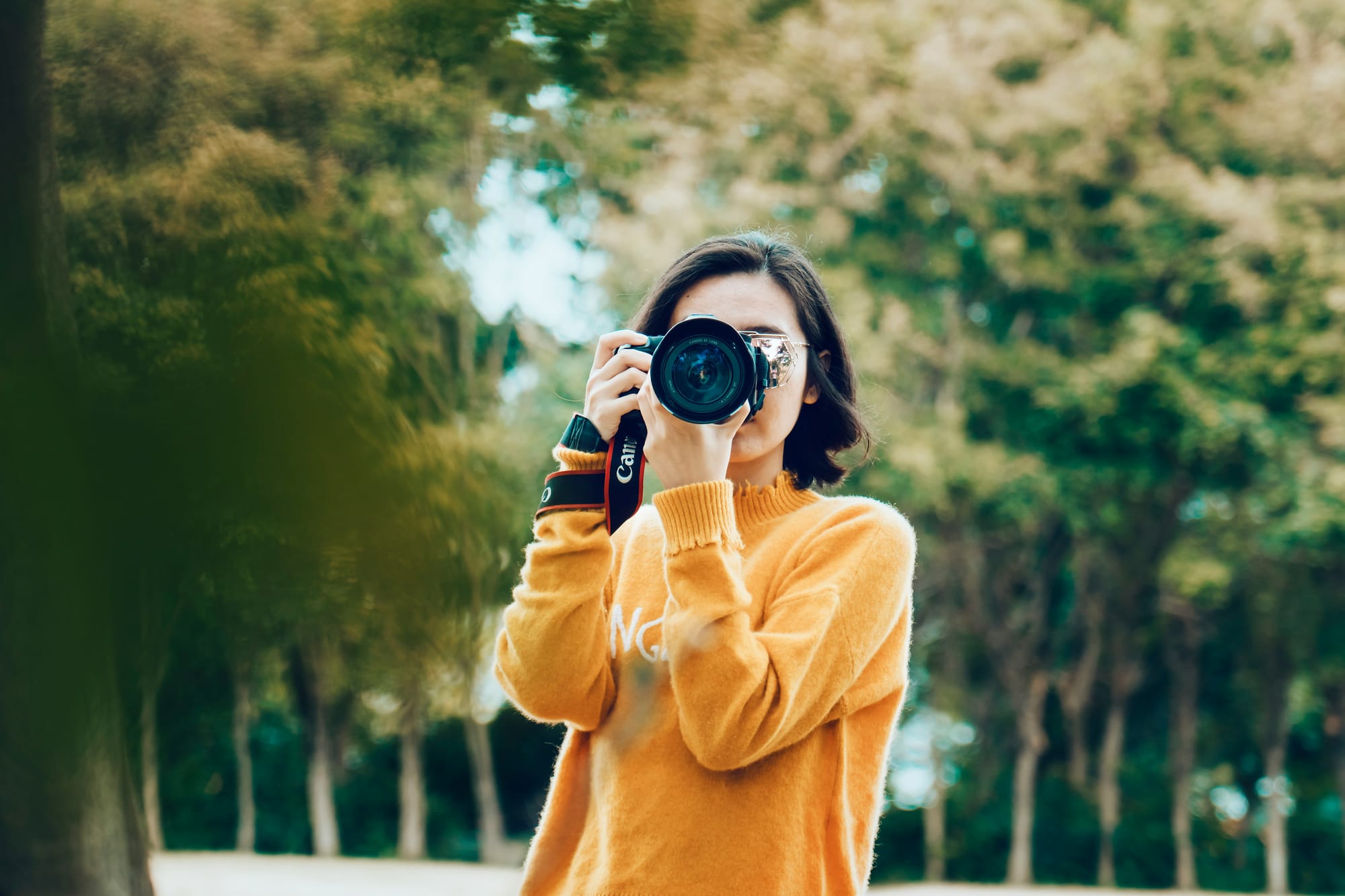 Dia Mundial da Fotografia: História, Importância e Como Celebrar