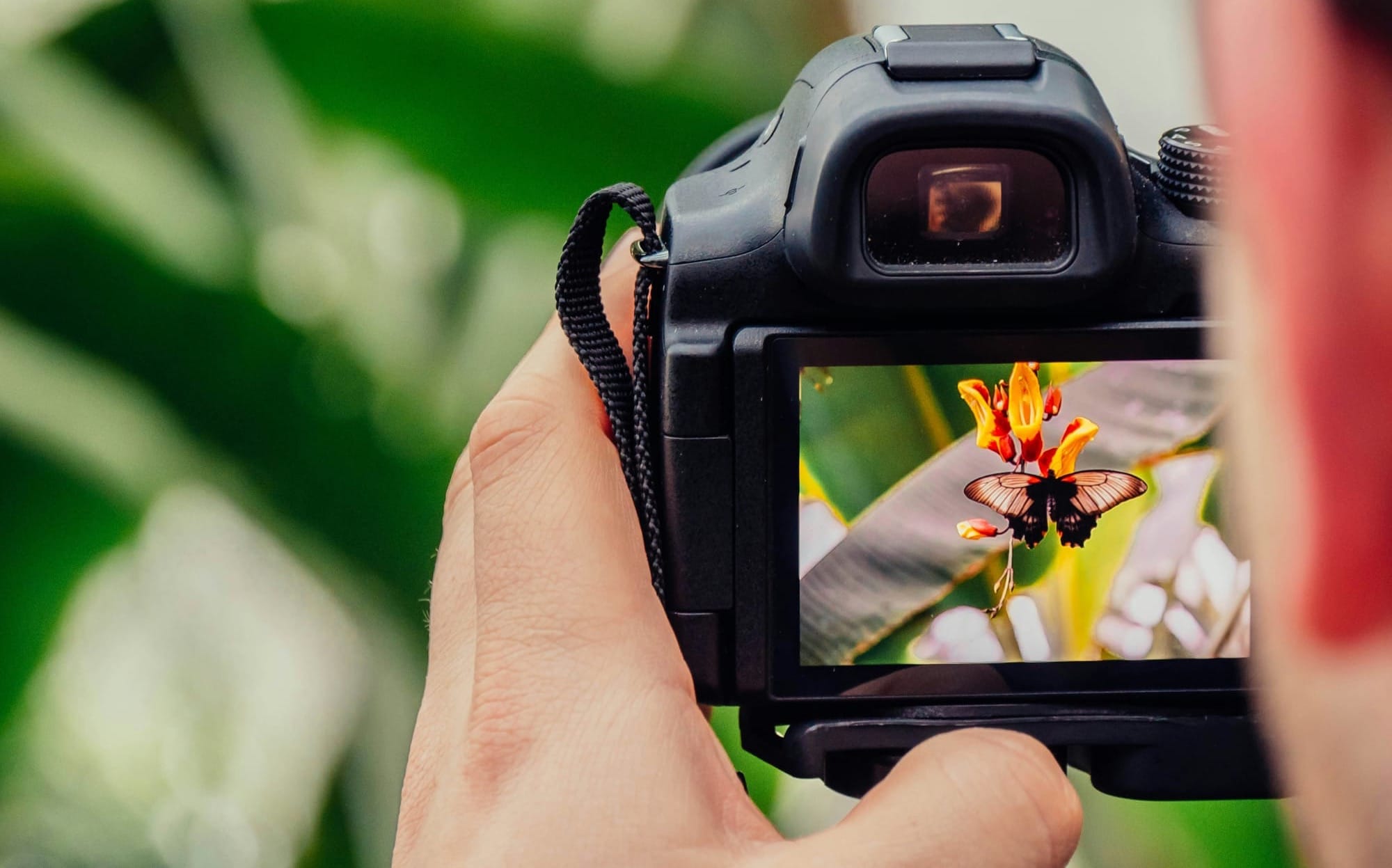 Os 3 Pilares da Fotografia: Os Fundamentos para Fotos de Alta Qualidade