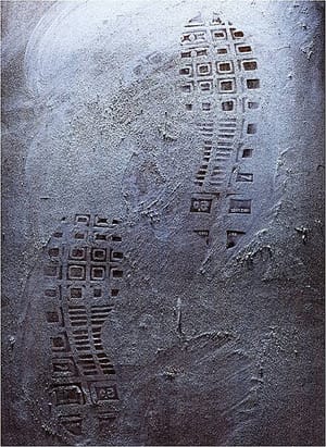 Fotografia Forense: Significado e Papel